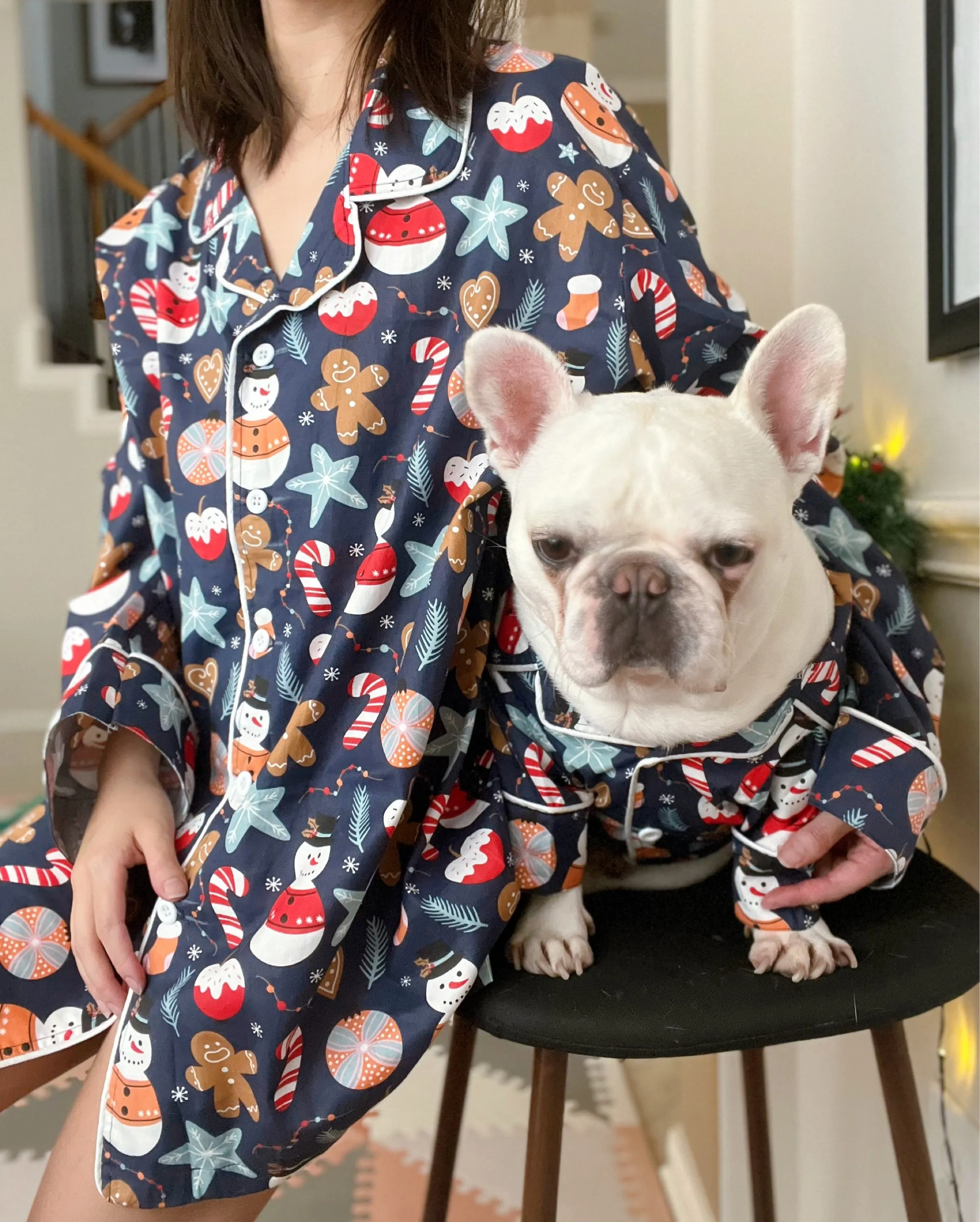 Gingerbread Man Christmas Pet and Owner Family Matching Button Shirts