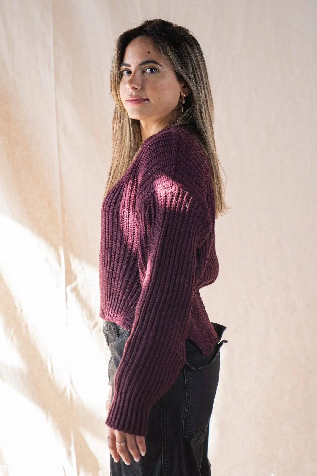 Knitted Cropped Sweater In Burgundy