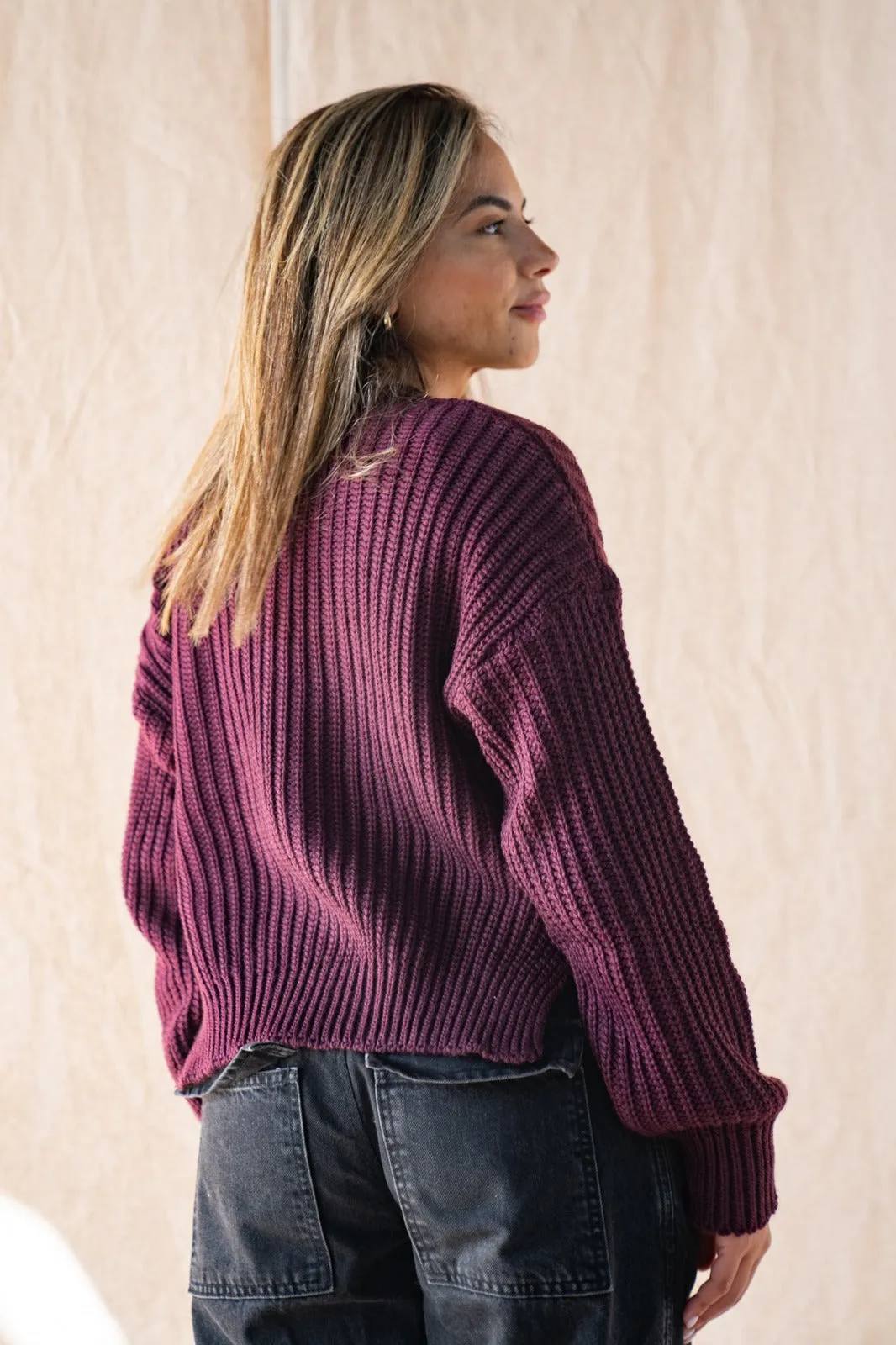 Knitted Cropped Sweater In Burgundy