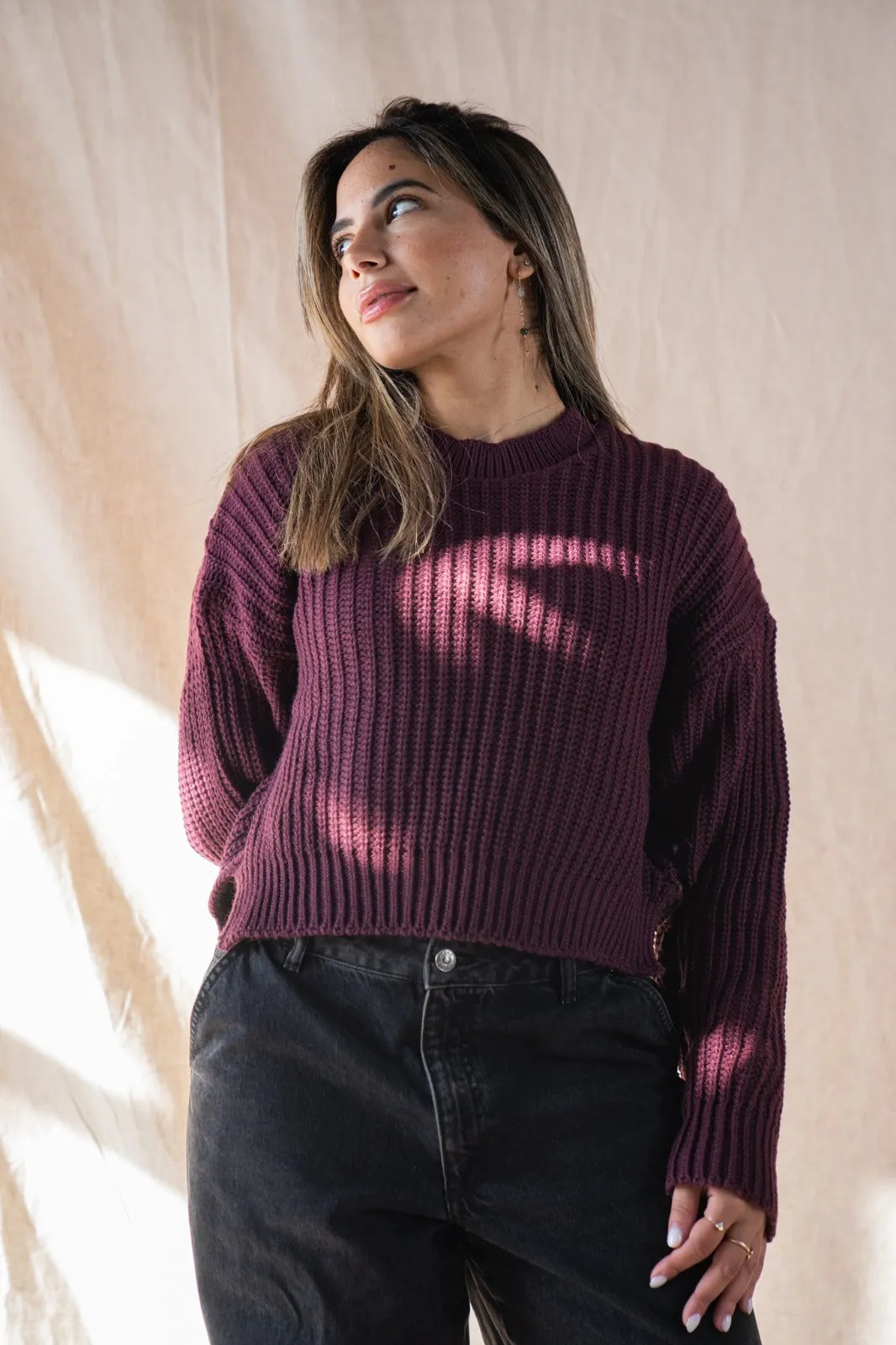 Knitted Cropped Sweater In Burgundy